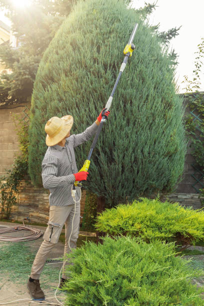 Best Soil Testing and Treatment  in Los Lunas, NM